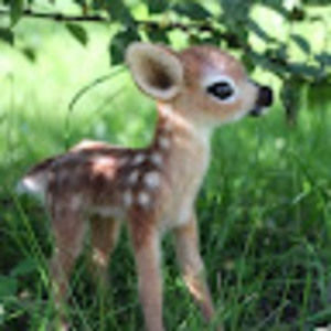 Meet your Posher, Melvina